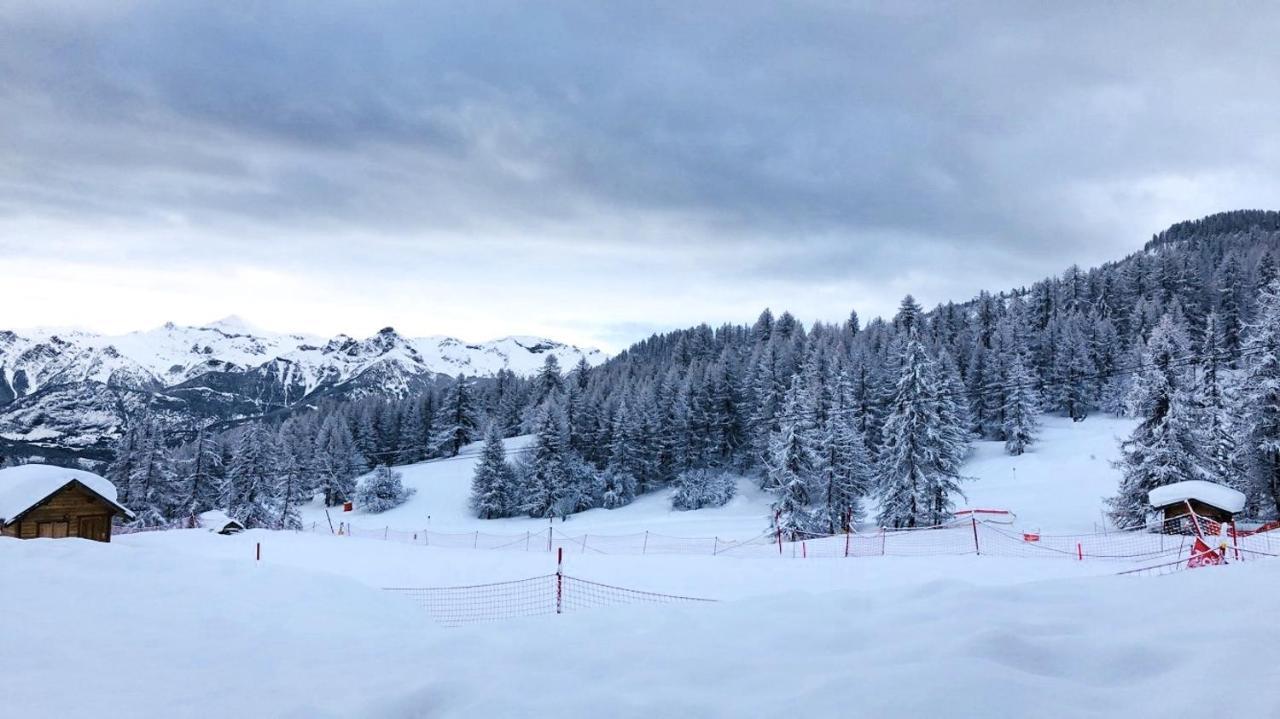 Appartamento Les Chalets Du Parc Aux Etoiles - Cimes Et Neige Puy-Saint-Vincent Esterno foto